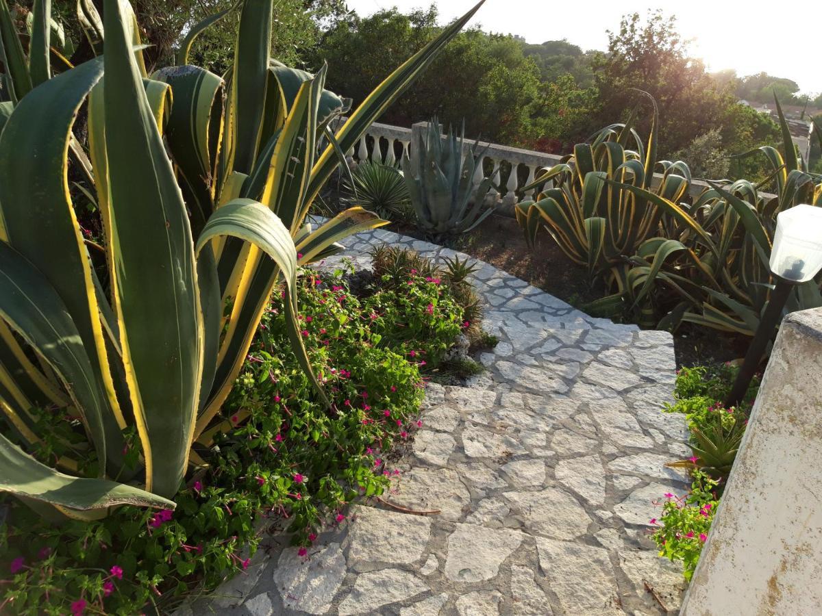 Villa Venezuela 1° Piano มาราเตอา ภายนอก รูปภาพ